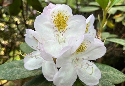 23-06-03 17-00-13 5812